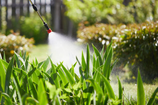 Tamper-Resistant Bait Stations for Rodents in Gunter