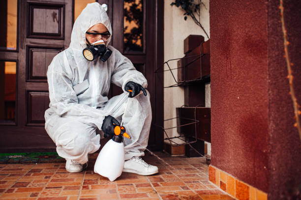 Attic and Crawl Space Rodent Treatment in Gunter