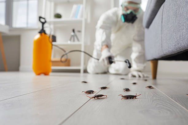 Commercial Rodent Management in Gunter